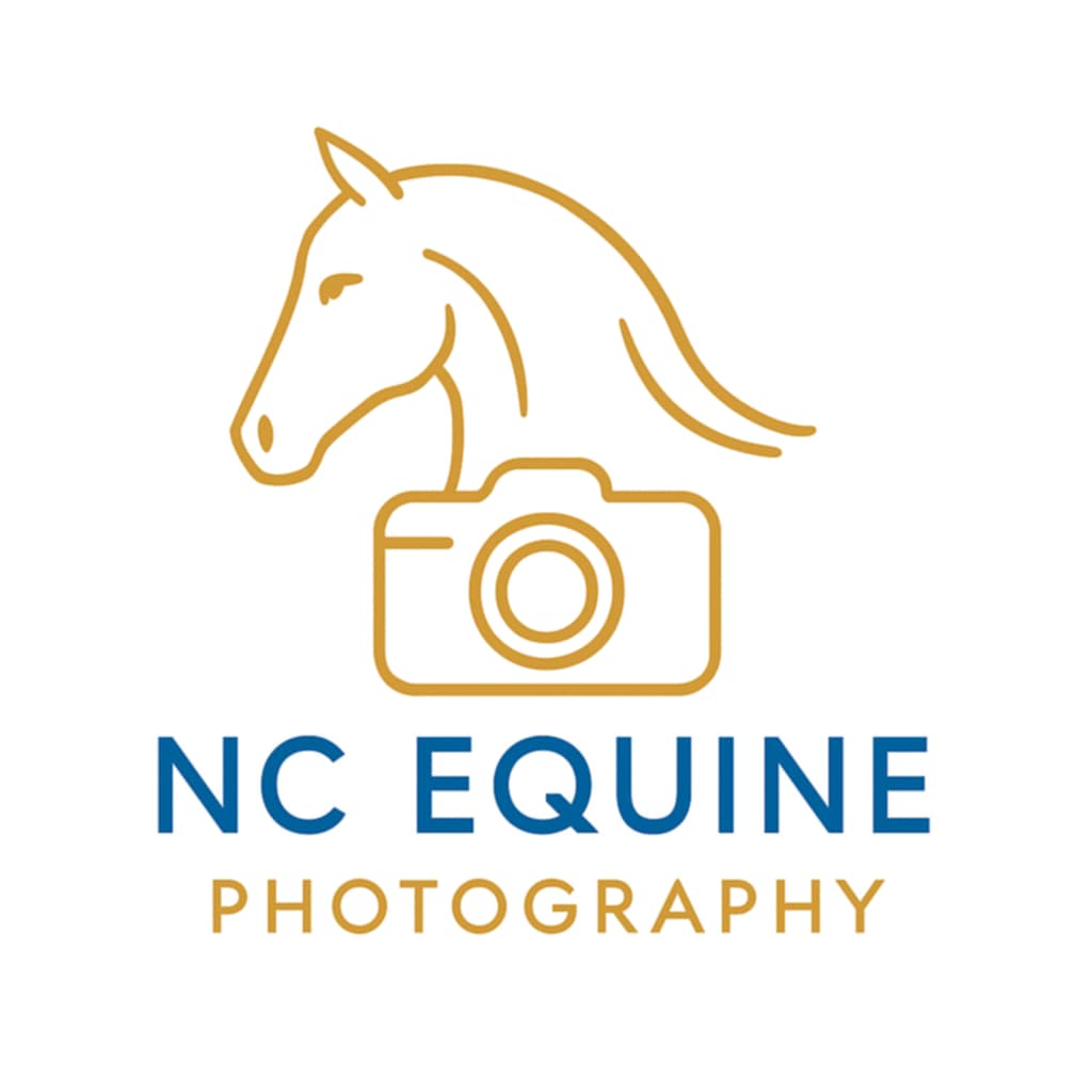 NC Equine Photography